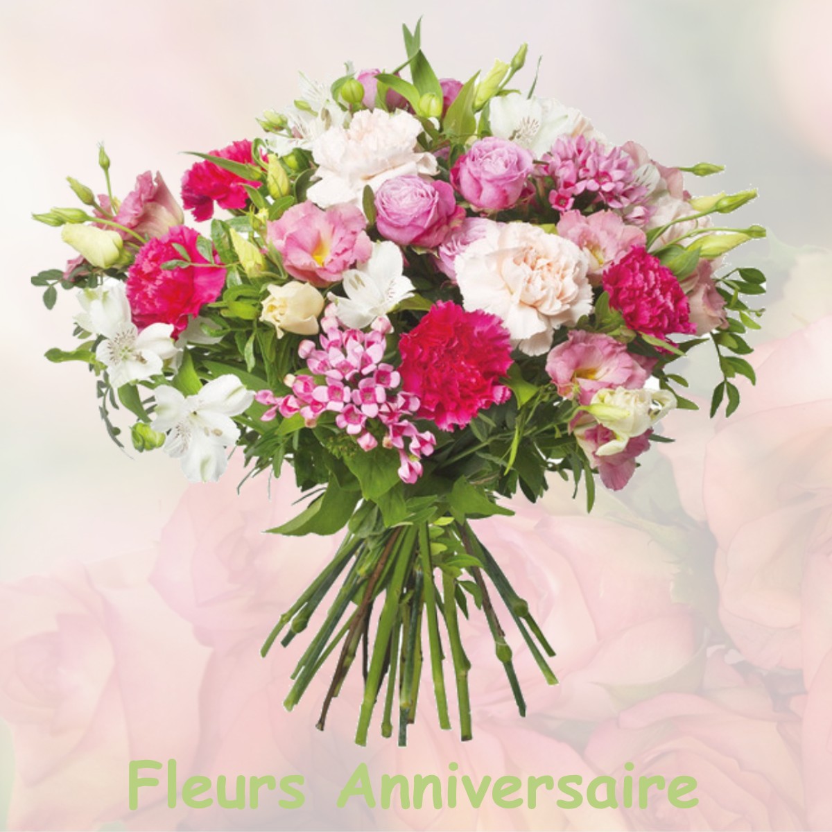 fleurs anniversaire MONTIGNY-MONTFORT